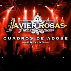 Cuadros De Adobe En Vivo