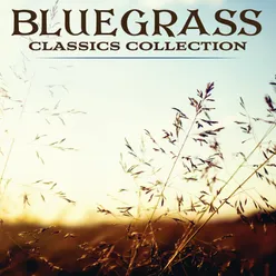 Bluegrass Classics Collection Power Picks -  75 Classics