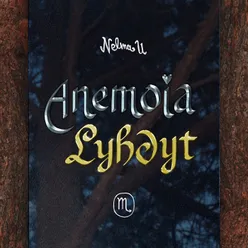 Anemoia & Lyhdyt