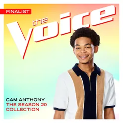 The Season 20 Collection The Voice Performance