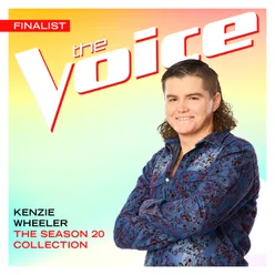 The Season 20 Collection The Voice Performance