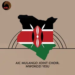 Mwokozi Yesu Alipopaa
