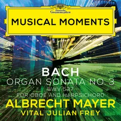 J.S. Bach: Organ Sonata No. 3 in D Minor, BWV 527 - II. Adagio e dolce (Adapt. for Oboe and Harpsichord by Mayer and Frey)