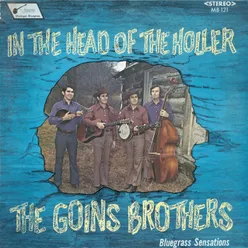 In the Head of the Holler