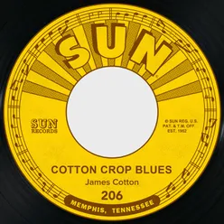 Cotton Crop Blues