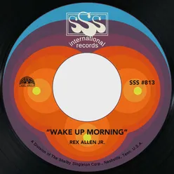 Wake Up Morning / You Weren't There