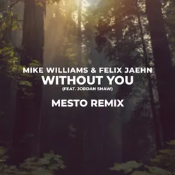 Without You Mesto Remix