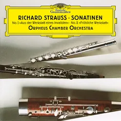 R. Strauss: Symphony for Wind Instruments,"The Happy Workshop", TrV 291 - II. Andantino, sehr gemächlich (assai commodo)