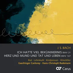 J.S. Bach: Ich hatte viel Bekümmernis, Cantata BWV 21 / Pt. 1 - 4. "Wie hast du dich, mein Gott"