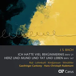 J.S. Bach: Ich hatte viel Bekümmernis, Cantata BWV 21 / Pt. 1 - 5. "Bäche von gesalznen Zähren"