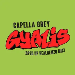 GYALIS Sped Up Realremzo Mix