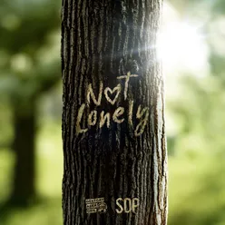 Not Lonely