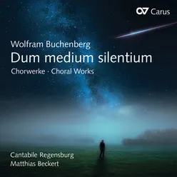 Buchenberg: Dum medium silentium