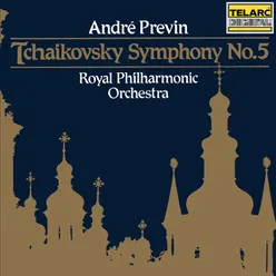 Tchaikovsky: Symphony No. 5 in E Minor, Op. 64, TH 29: I. Andante - Allegro con anima