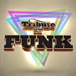 Tribute To The Funk