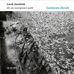 Janáček: On An Overgrown Path (Po zarostlém chodnicku), JW 8/17 - Arr. Rumler for String Orchestra / Book I: 7. Good Night!