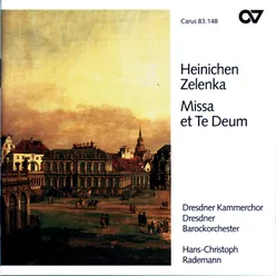 Heinichen: Mass No. 9 in D Major / Gloria - IIb. Domine Deus