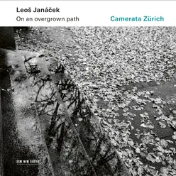 Janáček: On An Overgrown Path (Po zarostlém chodnicku), JW 8/17 - Arr. Rumler for String Orchestra / Book I - 10. The Barn Owl Has Flown Away!