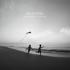 I'm Flying