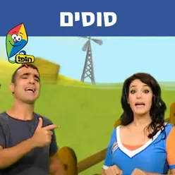 סוסים