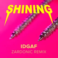 IDGAF Zardonic Remix