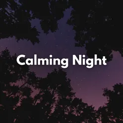 Calming Night