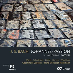 J.S. Bach: Johannes-Passion, BWV 245 / Pt. II - No. 19, Betrachte, meine Seele