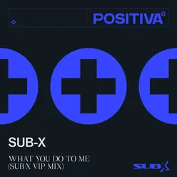 What You Do To Me-SUB-X VIP Mix