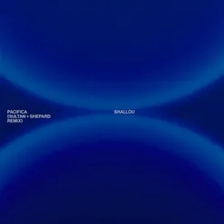 Pacifica-Sultan + Shepard Remix