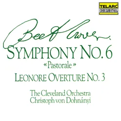 Beethoven: Symphony No. 6 in F Major, Op. 68 "Pastoral": V. Shepherd's Song. Happy, Grateful Feelings After the Storm. Allegretto