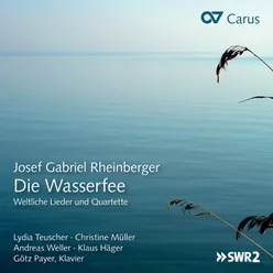 Rheinberger: Aus verborgenem Tal, Op. 136 - X. Verloren