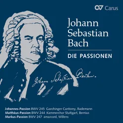 J.S. Bach: Johannes-Passion, BWV 245 / Pt. I - No. 3, O große Lieb, o Lieb ohn' alle Maße