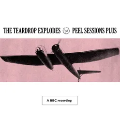 The Poppies In The Field BBC Session Peel Plus 1980