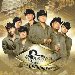 El Caballo Mojino Album Version
