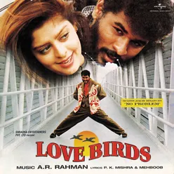 Love Birds Original Motion Picture Soundtrack