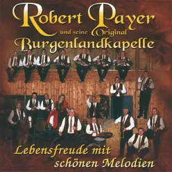 Musikanten Spiel'n Auf