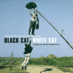Black Cat White Cat / Pit Bull