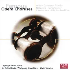 Wagner: Tannhäuser, WWV 70 / Act III - "Beglückt darf nun dich, o Heimat, ich schauen" - "Dies ist ihr Sang"