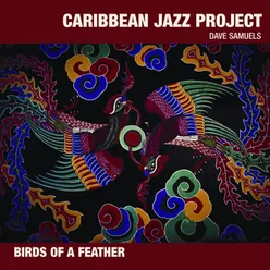 Birds Of A Feather Album Version