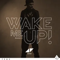 Wake Me Up EDX Miami Sunset Remix