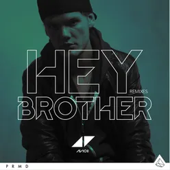Hey Brother Extended Version