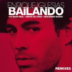 Bailando Gregor Salto Remix