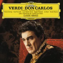 Verdi: Don Carlos, Act II - Je viens solliciter de la Reine une grâce - O bien perdu - Par quelle douce voix