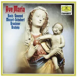 J.S. Bach: Christmas Oratorio, BWV 248 / Pt. Two - For The Second Day Of Christmas - No. 10 Sinfonia