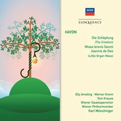 Haydn: The Creation (Die Schöpfung), H.XI/II / Part 1 (Sung in German) - Und Gott machte das Firmament...Mit Staunen sieht das W