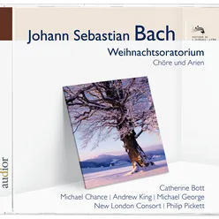 J.S. Bach: Christmas Oratorio, BWV 248 - Part Four - For New Year's Day - No. 41 Aria (Tenor): "Ich will nur dir zu Ehren leben"