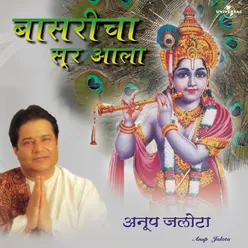 Jai Jai Hari Govind Murari Album Version