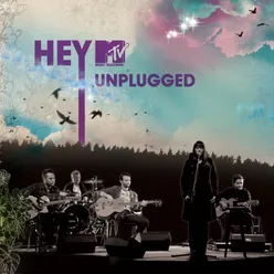 A Ty? MTV Unplugged