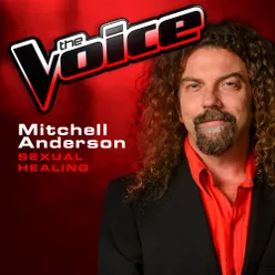 Sexual Healing The Voice 2013 Performance