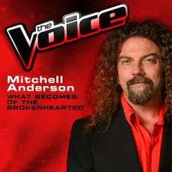 What Becomes Of The Brokenhearted The Voice 2013 Performance